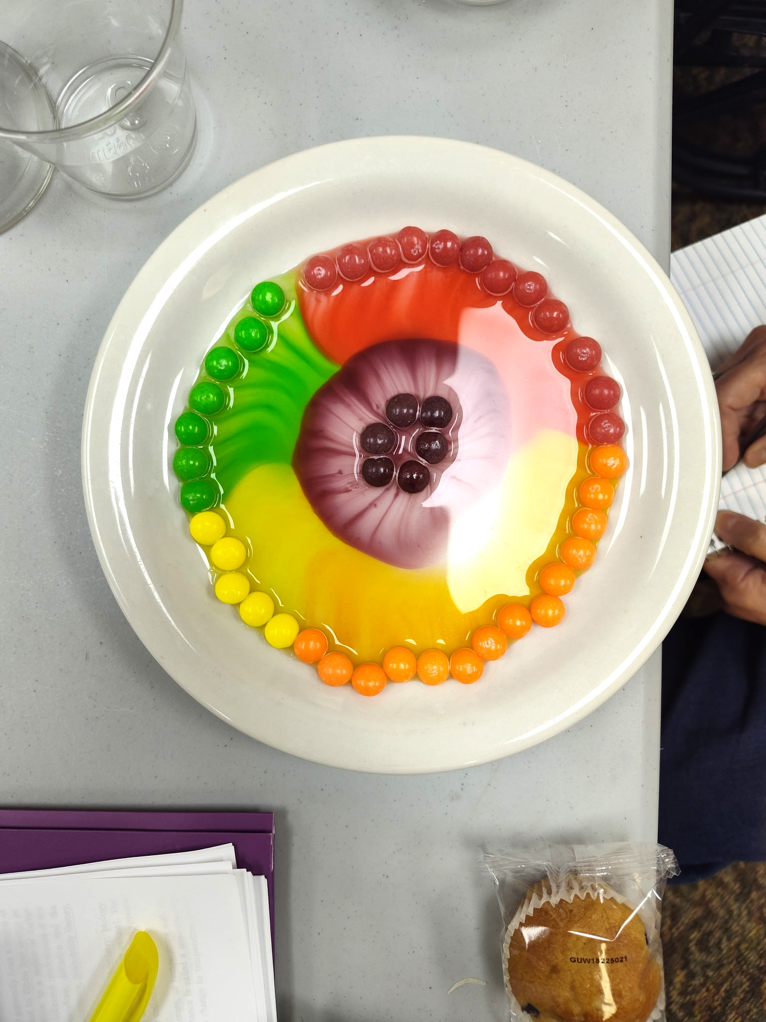 Science class at Liberty "Skittle" experiment!-6