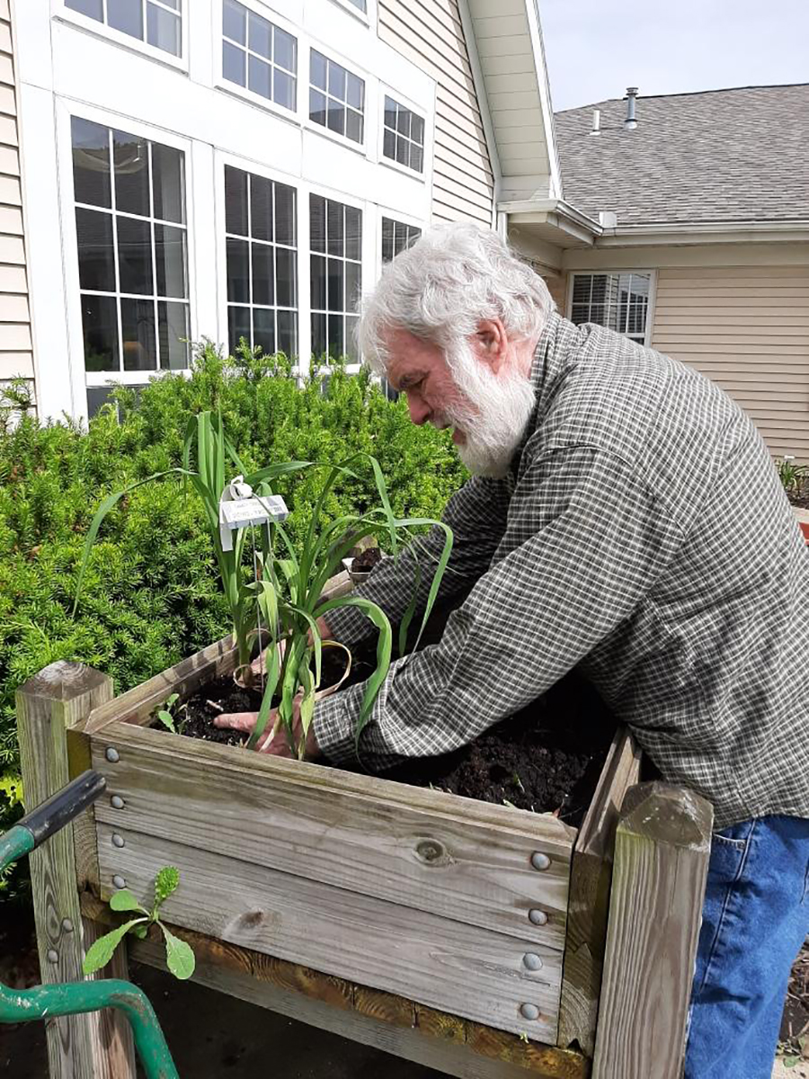 Spring Transplanting