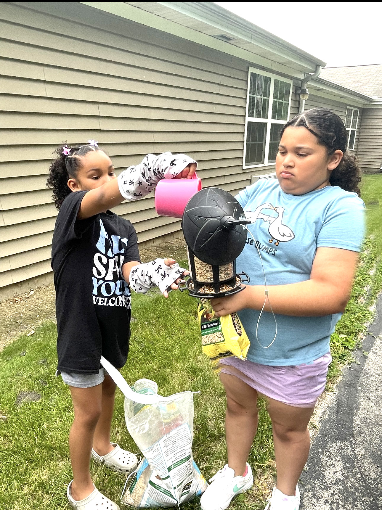Setting up the Bird Feeders 3