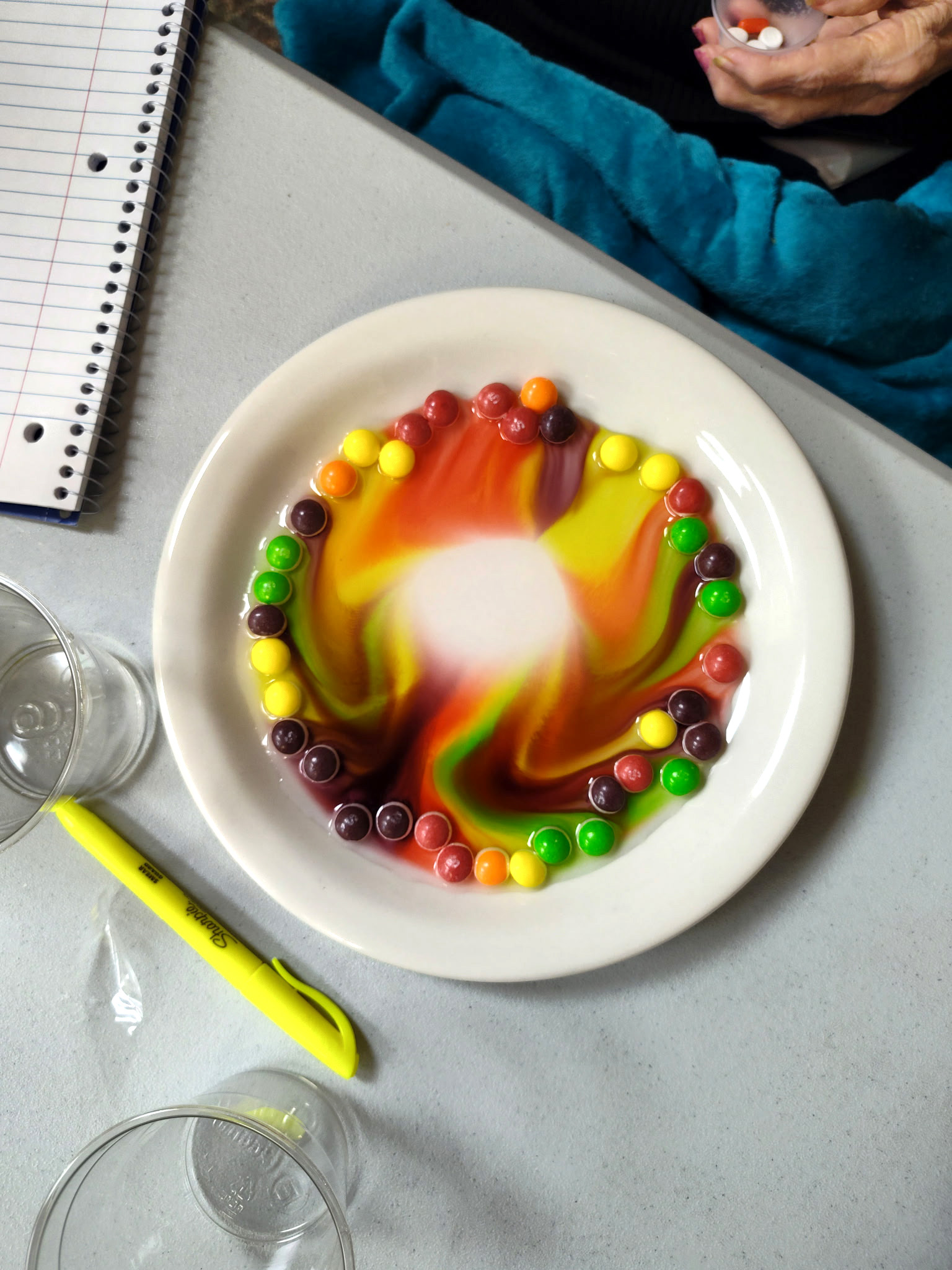 Science class at Liberty "Skittle" experiment!-3