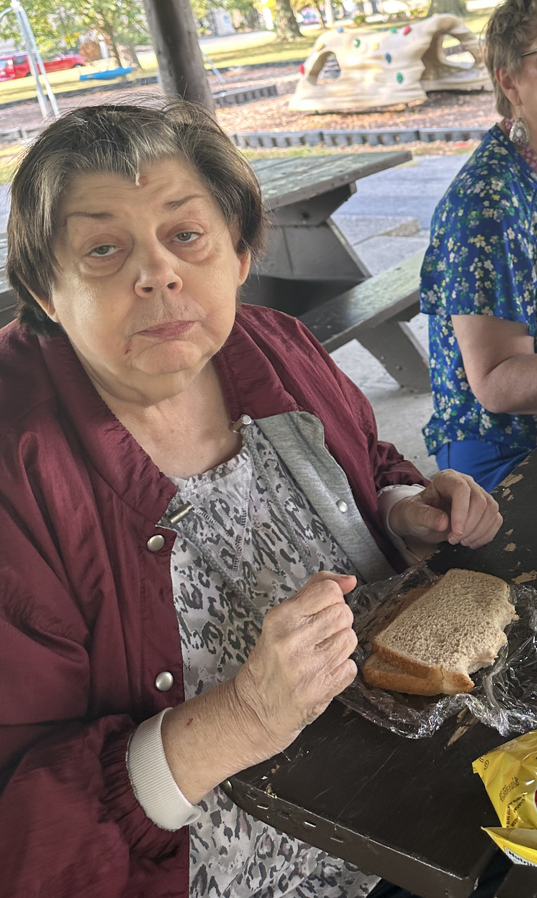 Lunch at the Park