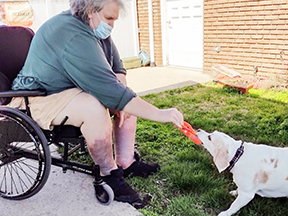 Einstein Wins the Doggie Easter Egg Hunt