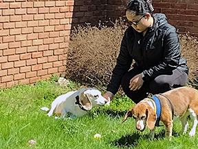 Einstein & Lulu Search for Easter Eggs