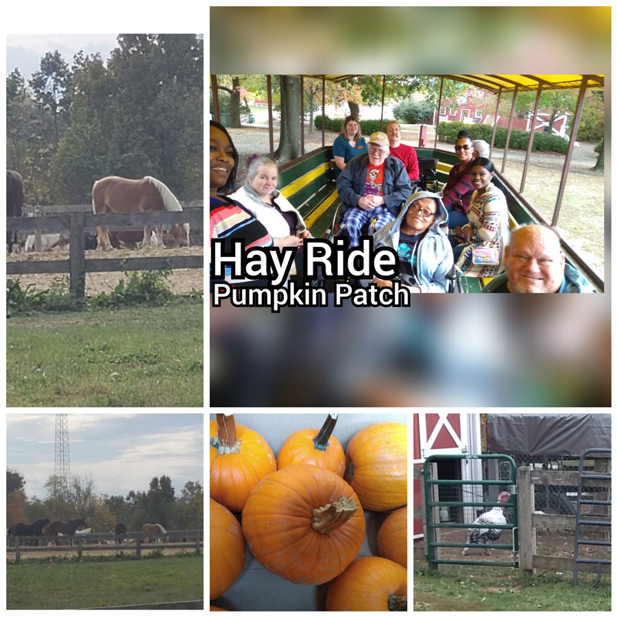 Fall Outing at Parky's Farm