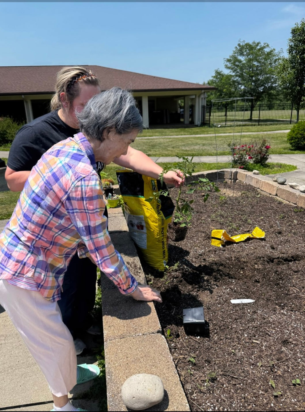 Seeding the Garden